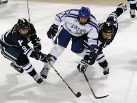 FB体育官网-武切维奇一手掌控比赛走势，活塞提前终结悬念，深圳队启示录