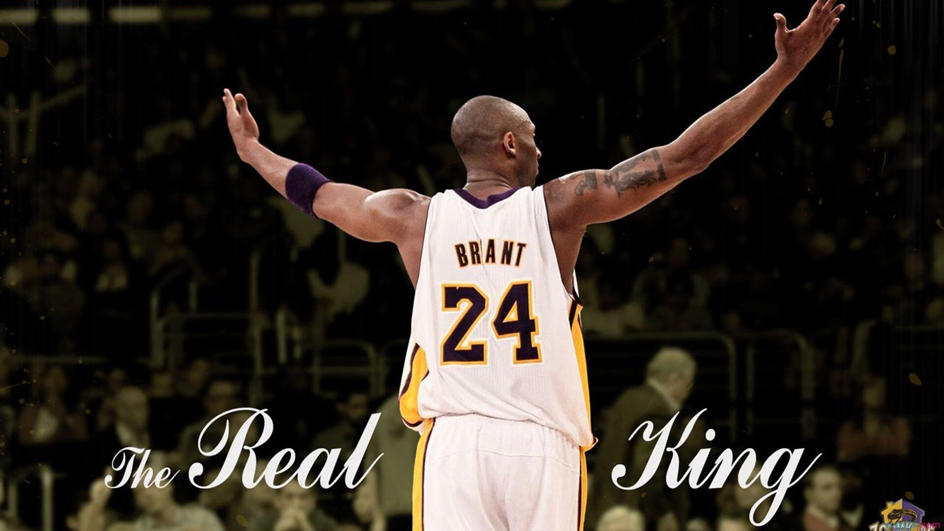 戈贝尔，从防守支柱到关键先生，国王打穿爵士的战术革命